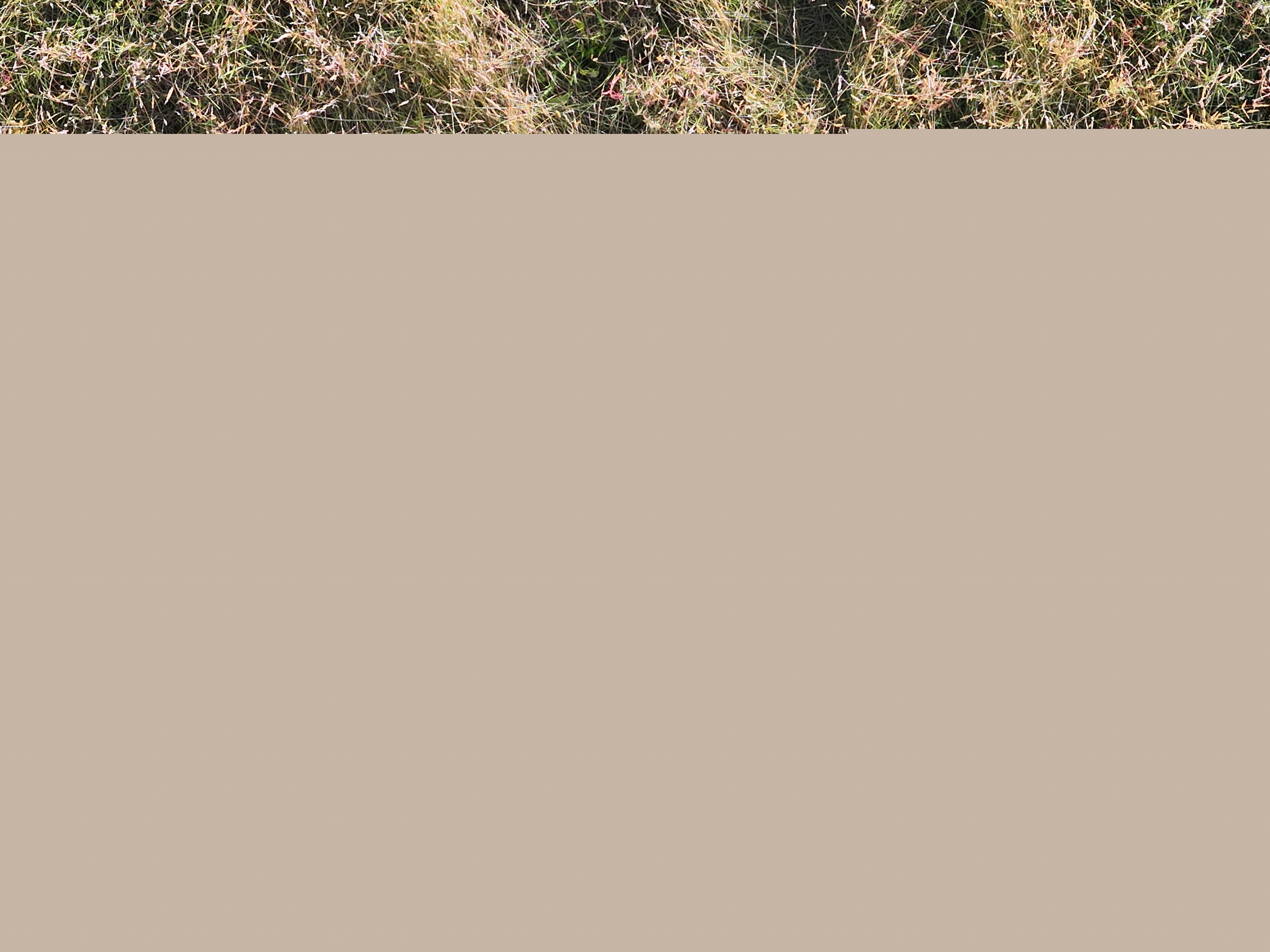 DJI_20250629083645_0001_V