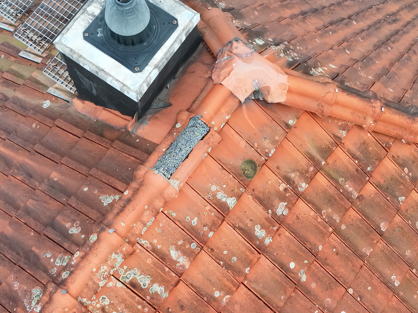 WhatsApp Bild 2025-07-05 um 21.43.02_291b6add