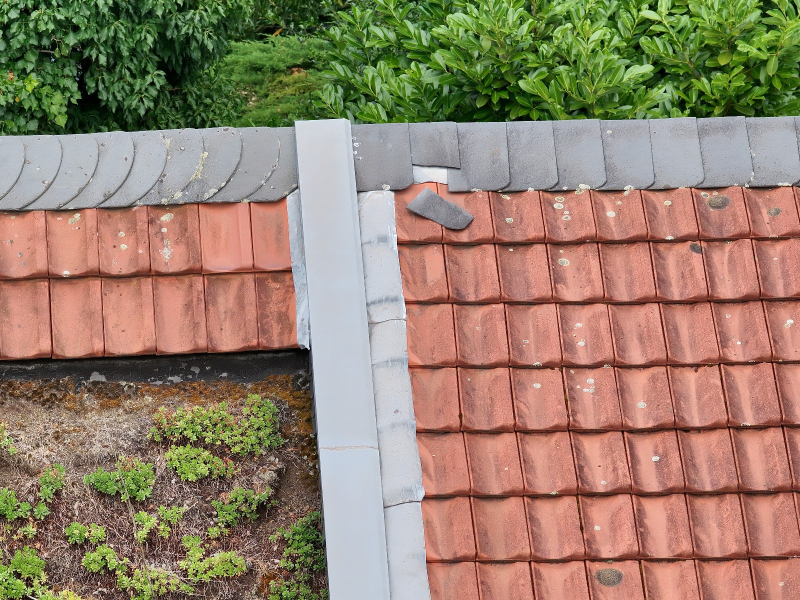 WhatsApp Bild 2025-07-05 um 21.43.03_6d9f4089