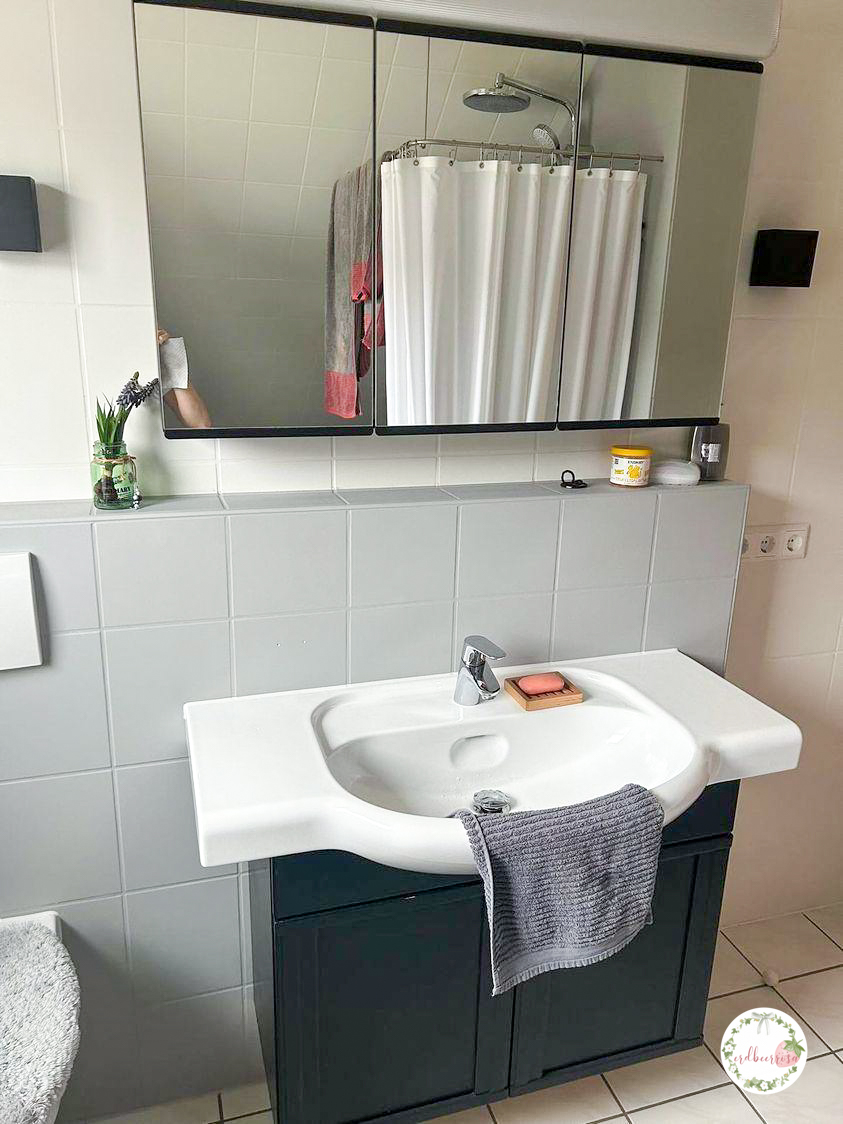 Badezimmer streichen HW Dutch Grey Soft Black (2)