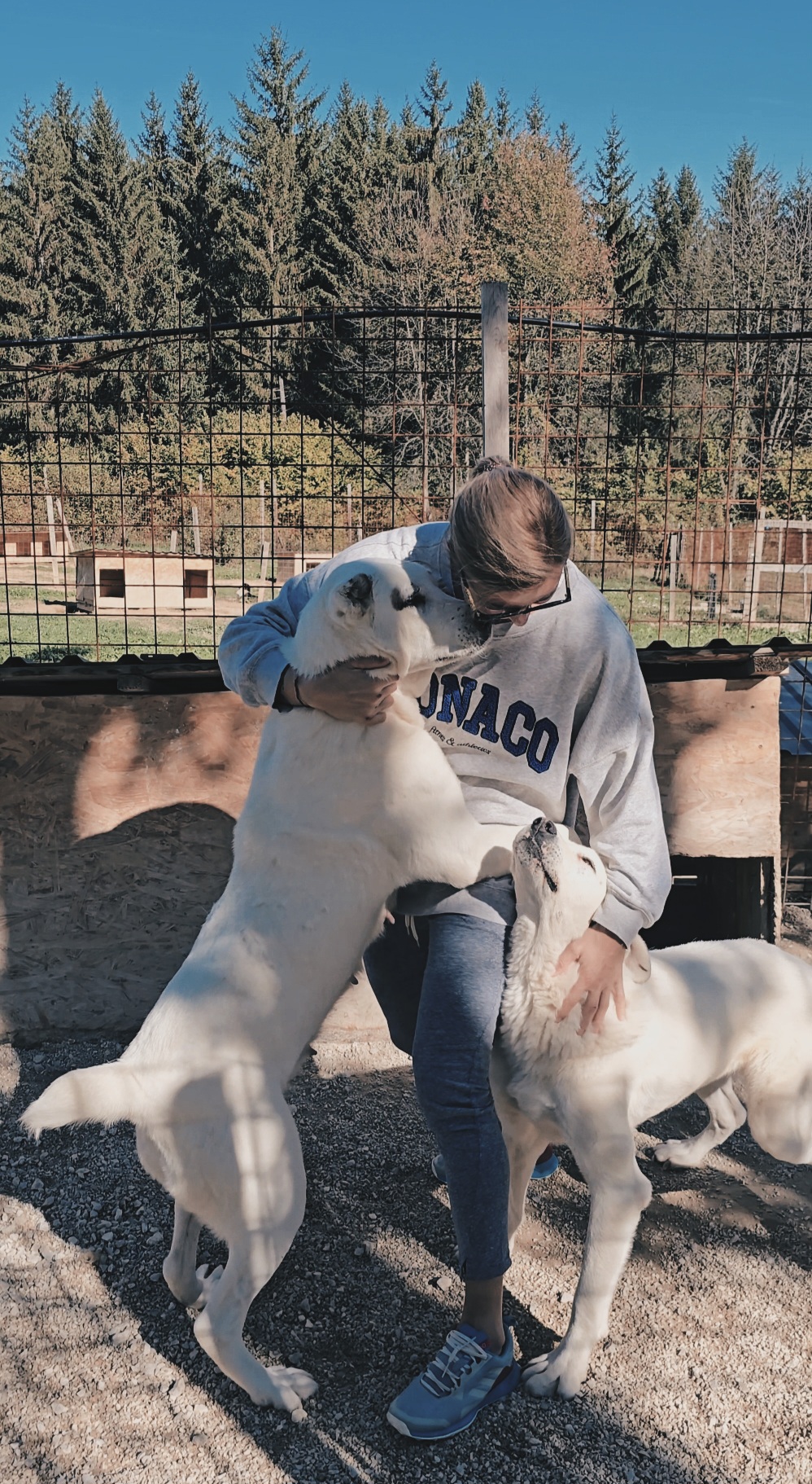 Screenshot_20241015_233211_Gallery