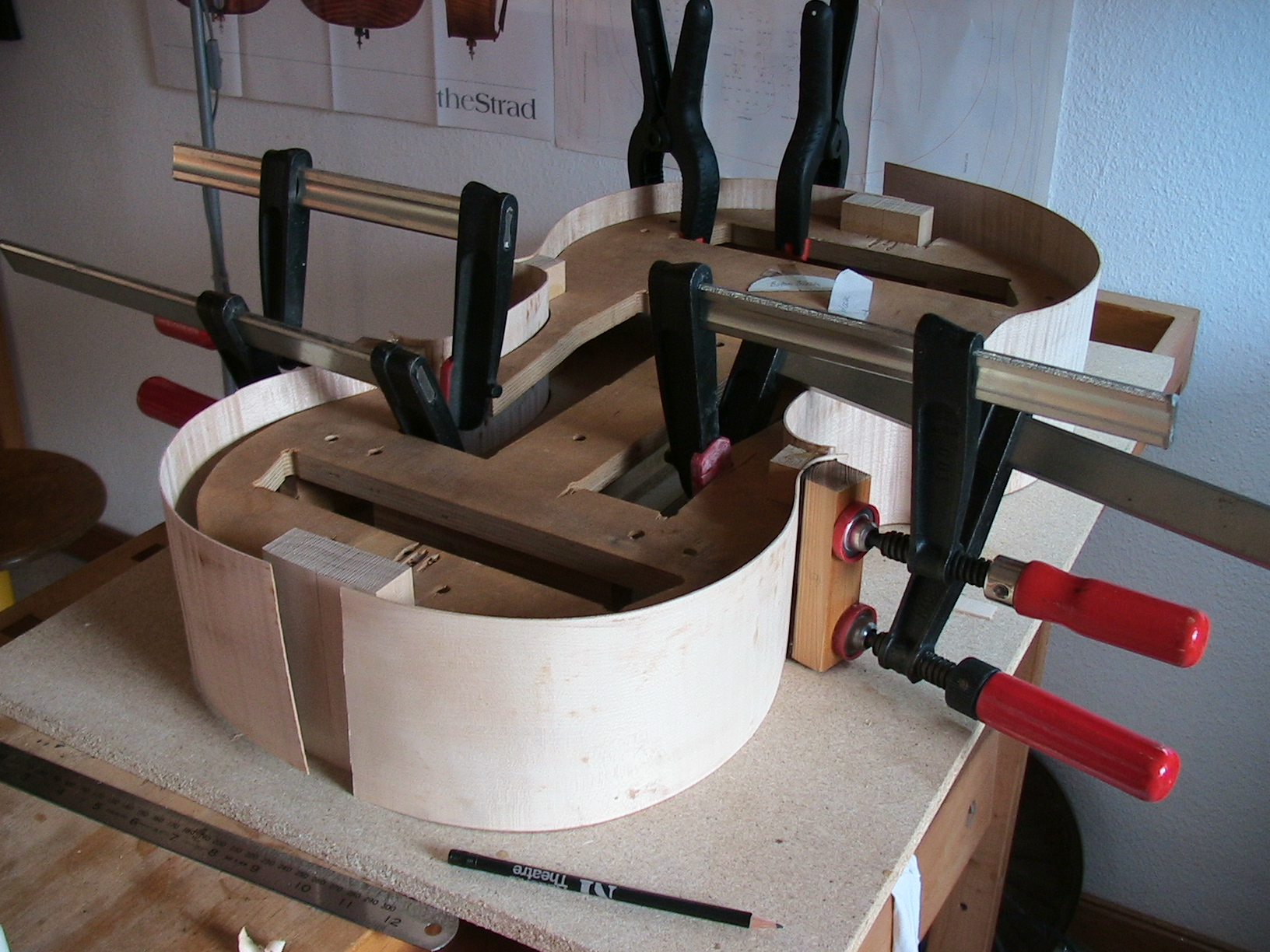 Rib Structure