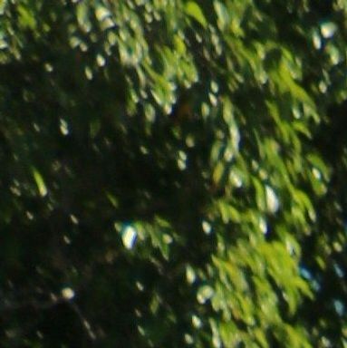 Signature Cuba Roadtrip