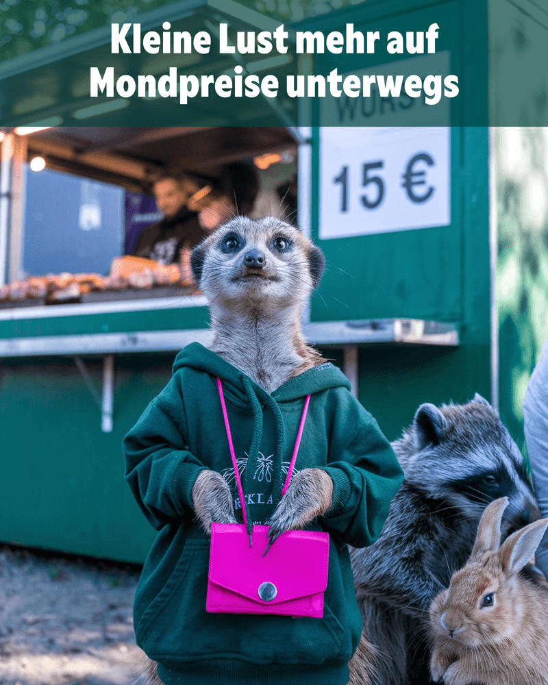 Mondpreise Mondpreise