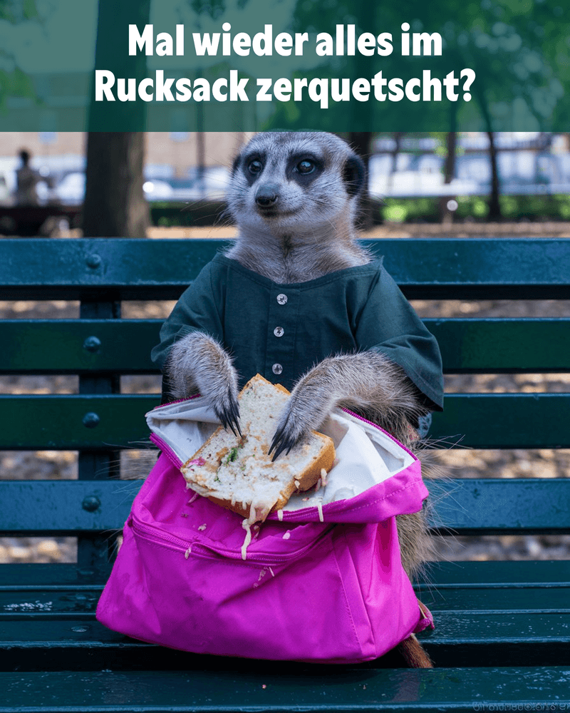 Rucksack zerquetscht Rucksack zerquetscht
