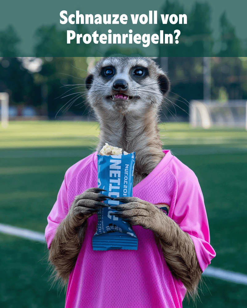 Schnauze voll Proteinriegel Schnauze voll Proteinriegel