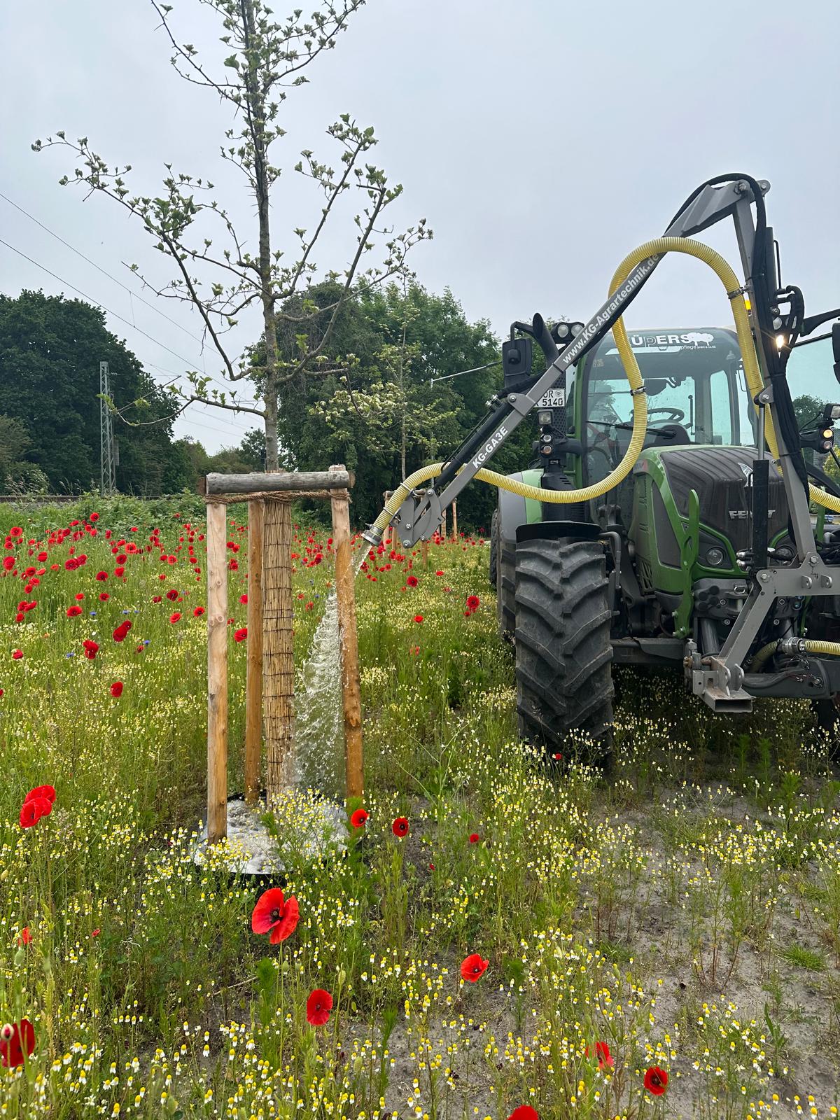 Pflanz- und Pflegearbeiten