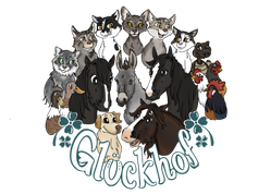 Glückhof Lernort-Tierschutz