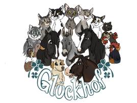 Glückhof Lernort-Tierschutz