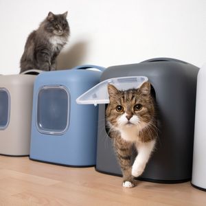 Darmsanierung für Katzen von Naturheilkunde für Katzen