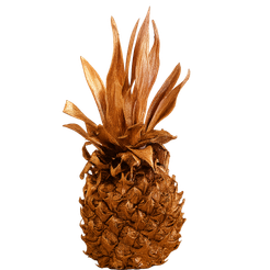 ProAnanas