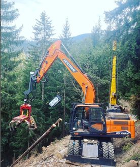 Doosan DX210W mit Woody Harvester 