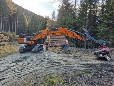 Develon DX245 NHD-7 mit Woody Harvester