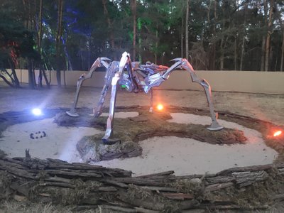 IMG_20220812_210736 IMG_20220812_210736