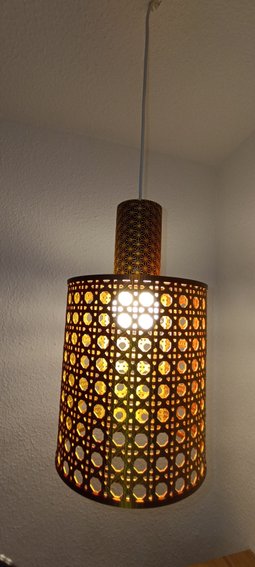 IMG_20250115_210208 IMG_20250115_210208