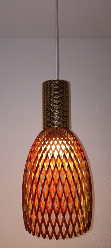 IMG_20250115_211549 IMG_20250115_211549