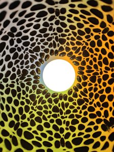 Schwamm_grün3 Schwamm_grün3