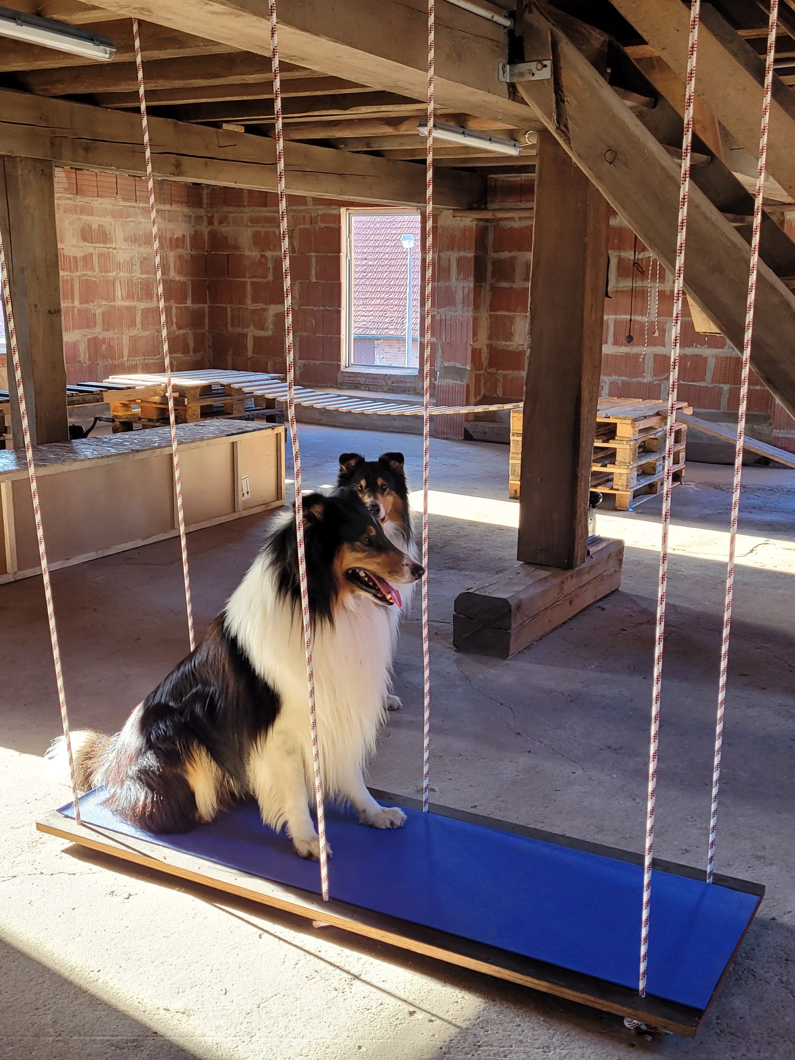 Fellnasenspaß Indoor