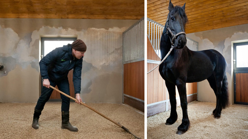 Stroh Pellets als Einstreu für die Pferdebox