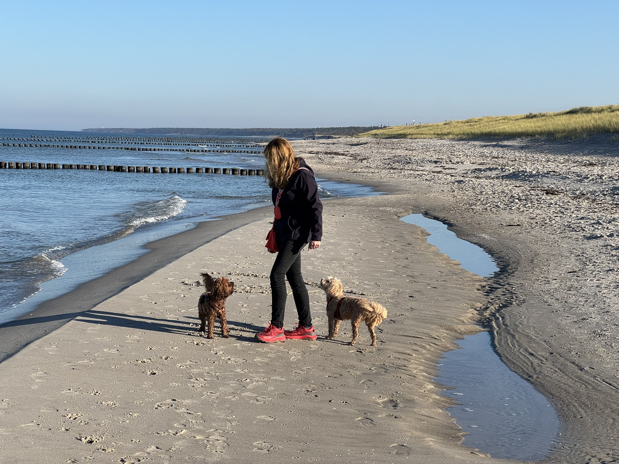 Private Hundetrainerin Jacky mit ihren zwei Hunden am Strand