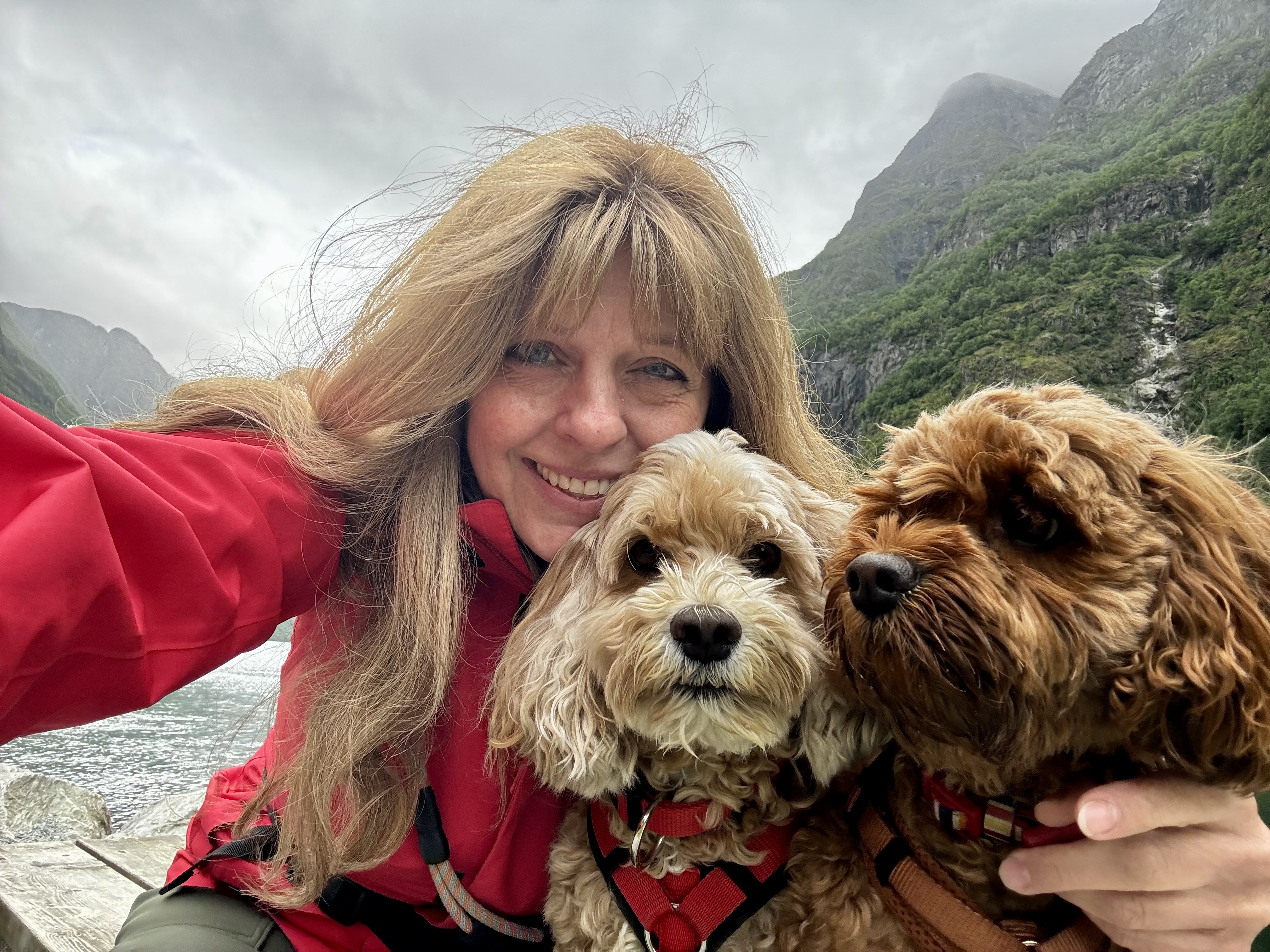 Hunde der privaten Hundetrainerin von Rudel Rockstars