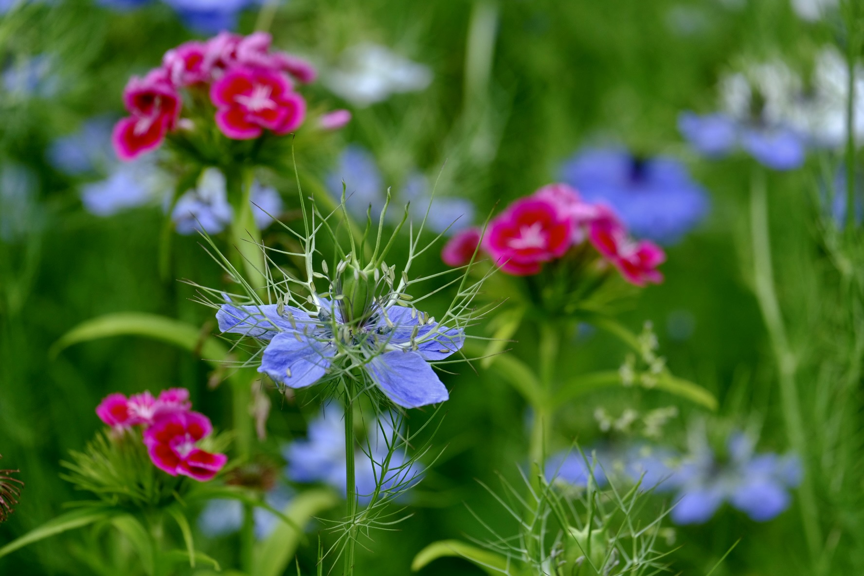 05C8FE7F-50A4-44EF-BD6C-E254C2FCFDFB-2327-000001D0A7219EA9