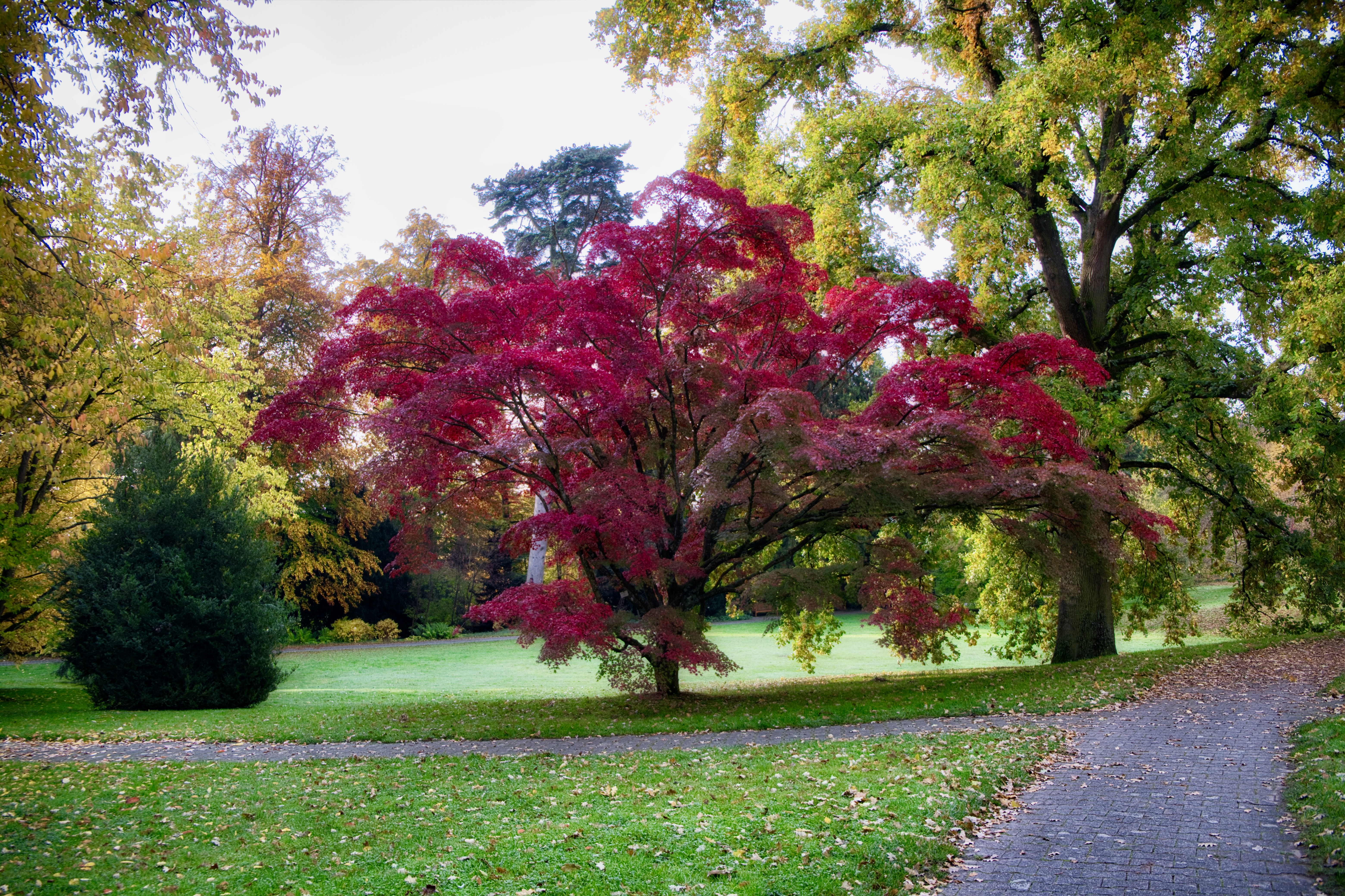 2020_10_Schlosspark_Hohenheim_01