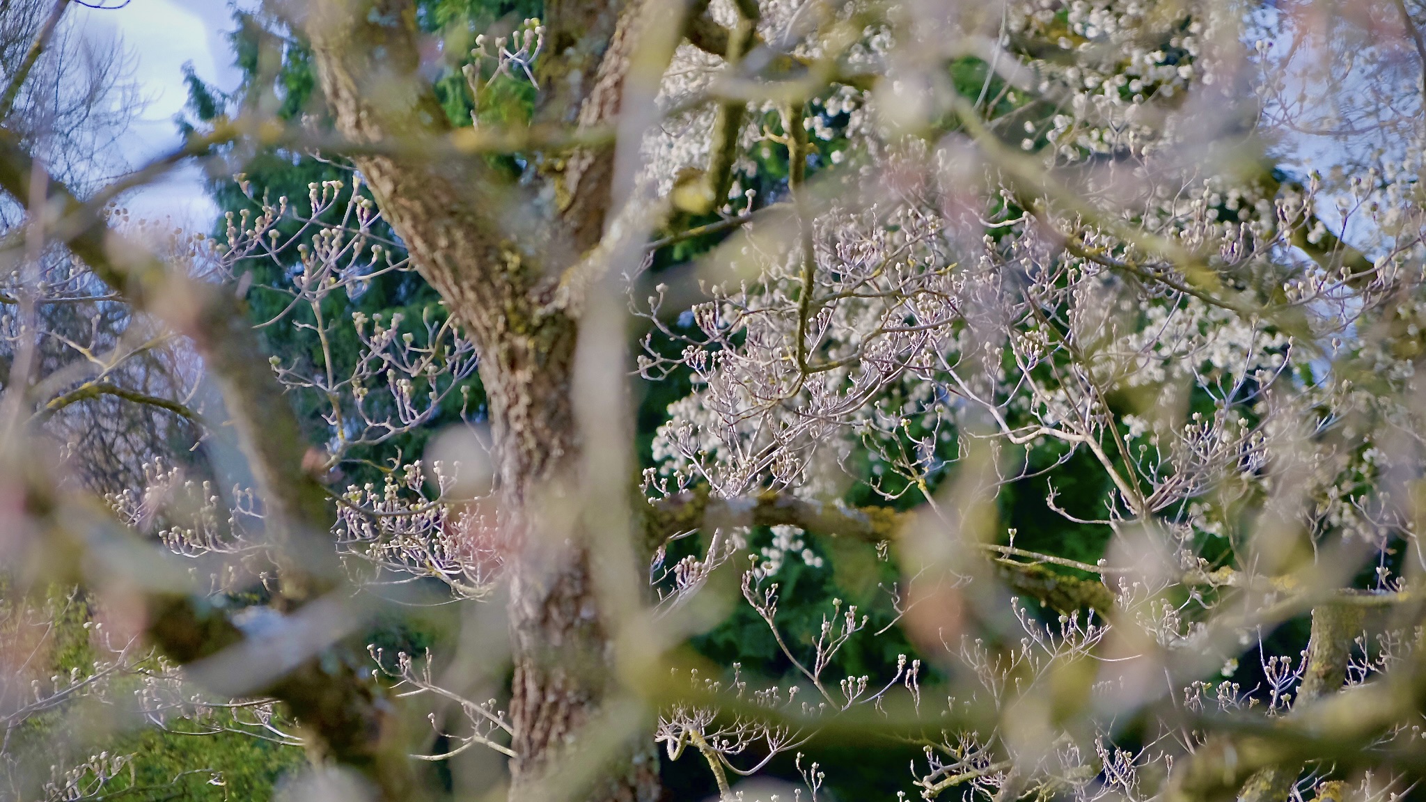 6263B562-60FA-44DD-9E7F-D69B97293DD4-440-000000154BC6D156