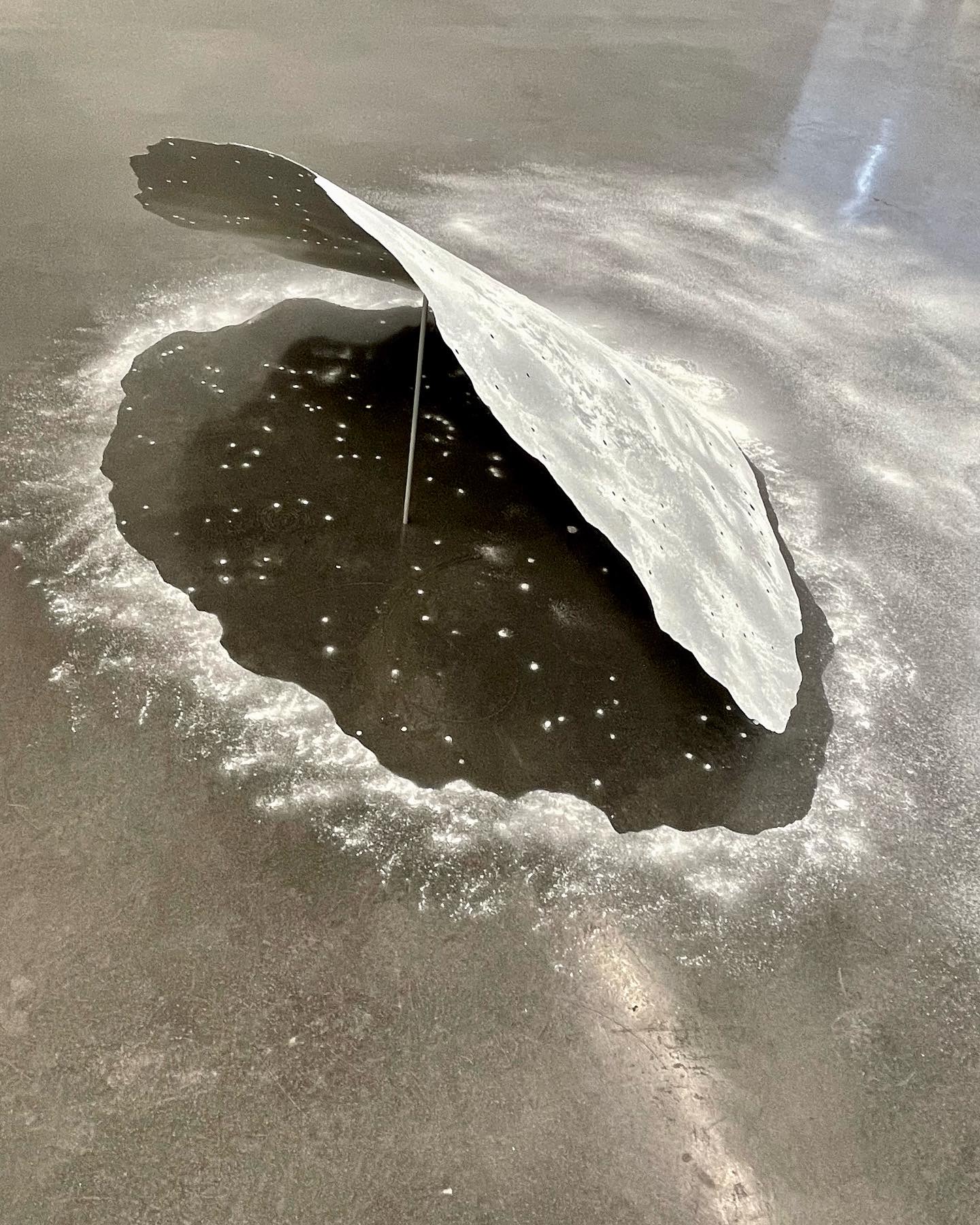 Reutlingen Stiftung für konkrete Kunst