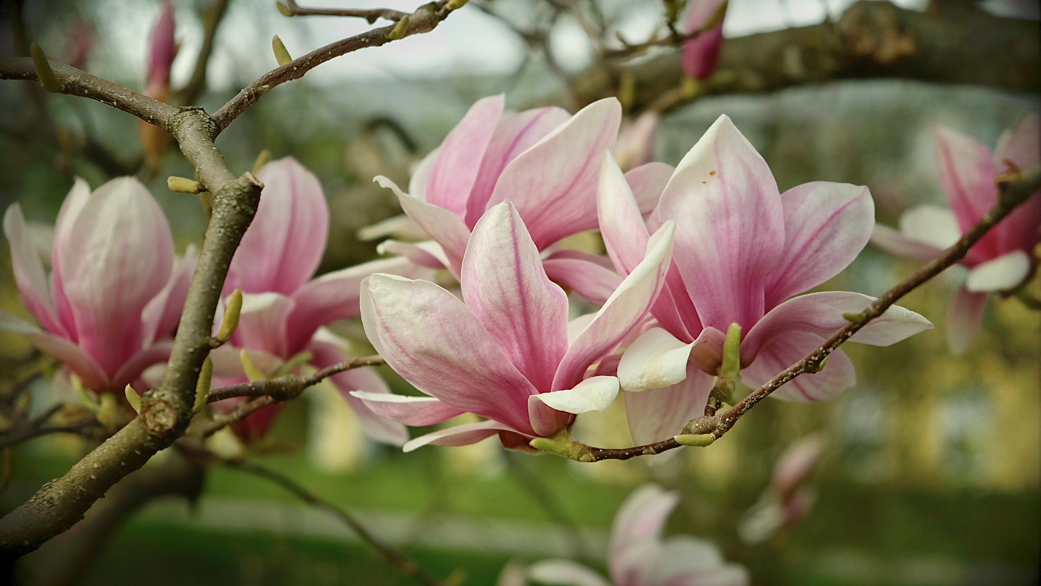 C4D9D39E-3C0F-4D50-AF4C-4F34828731E9-1218-000000F2738361C7