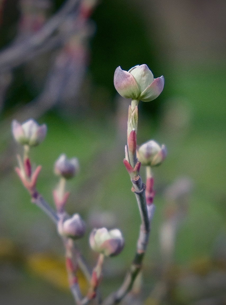 D4F1F230-D895-49D4-951E-7664AC163979-440-00000015535F4189