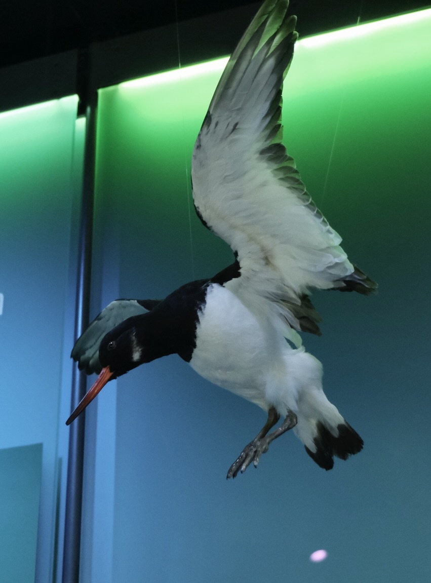 DFDF7D20-BEEC-4D43-A8BC-C5AD6878B1AA-2022-00000350D96313C7