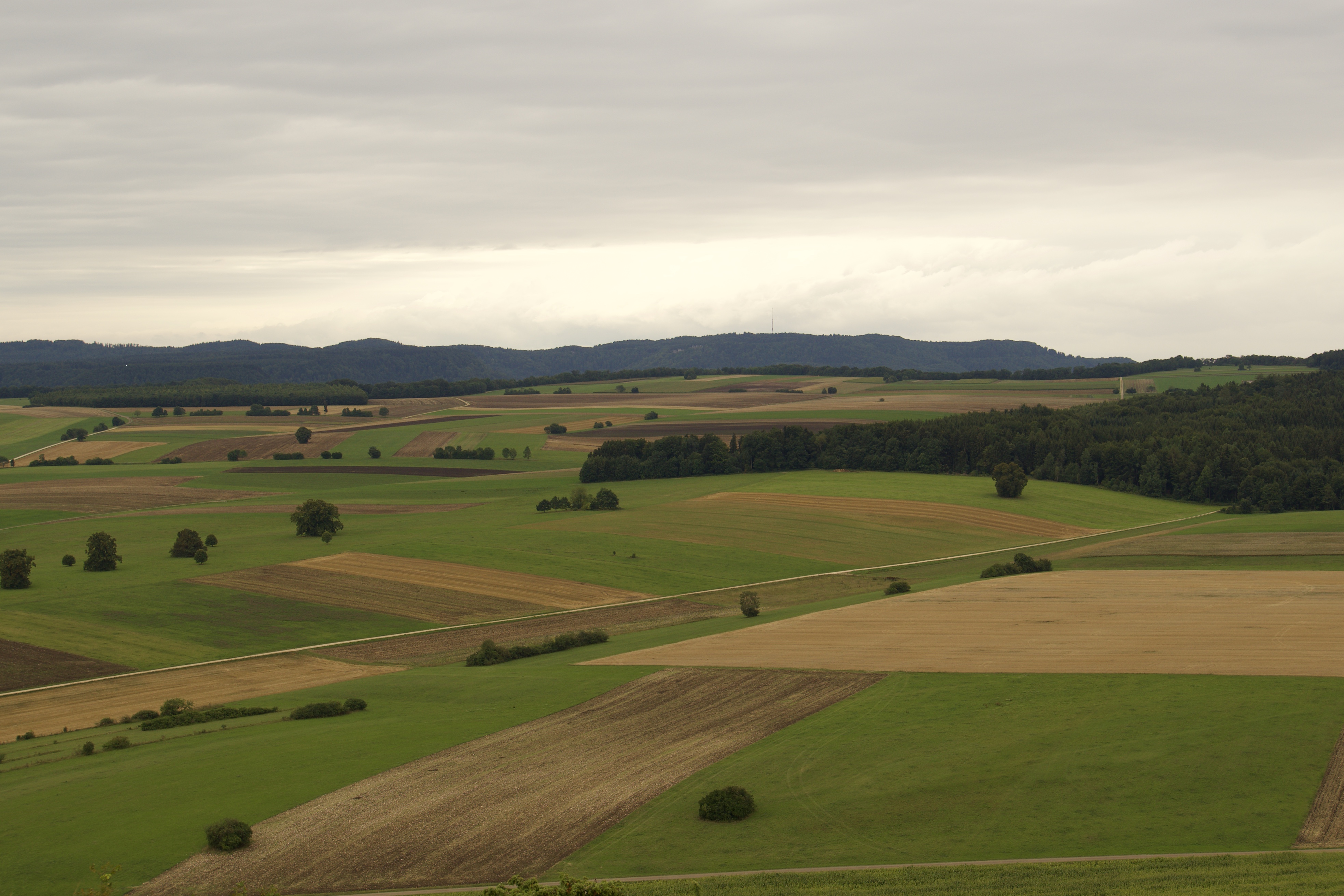 Salmendinger Kapelle