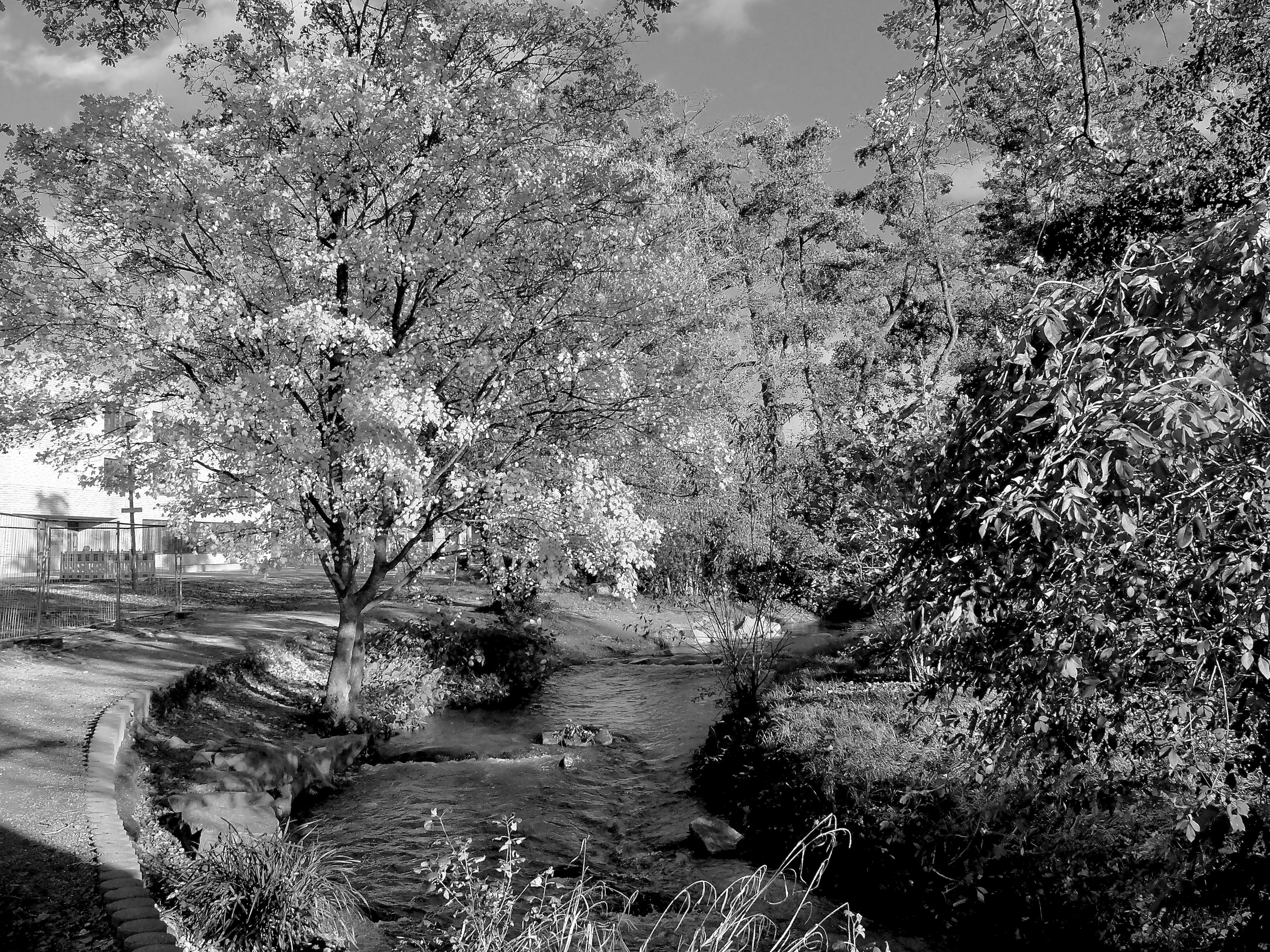 Am Dorfbach FR-Haslach