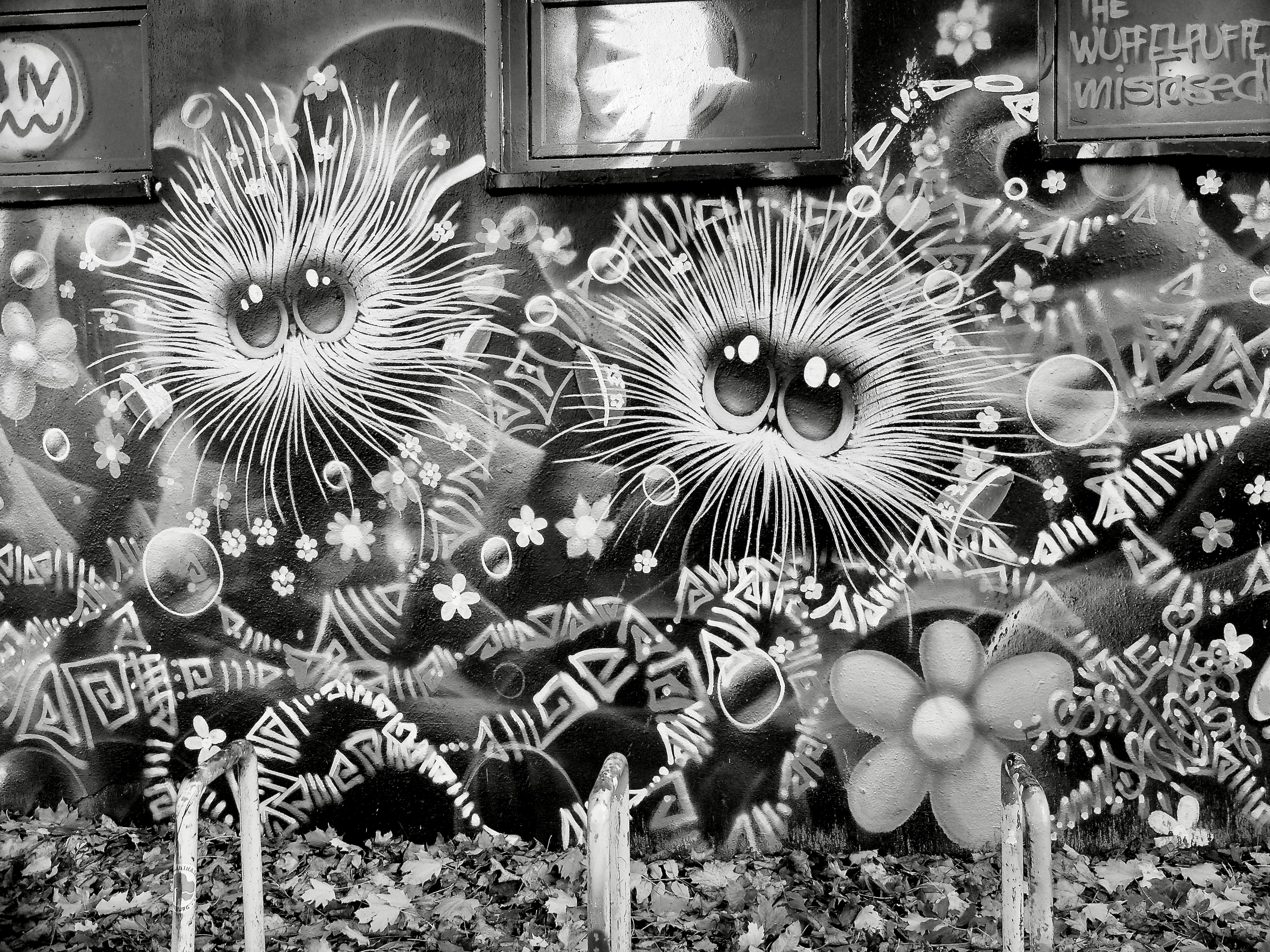 Graffitti am Sportplatz