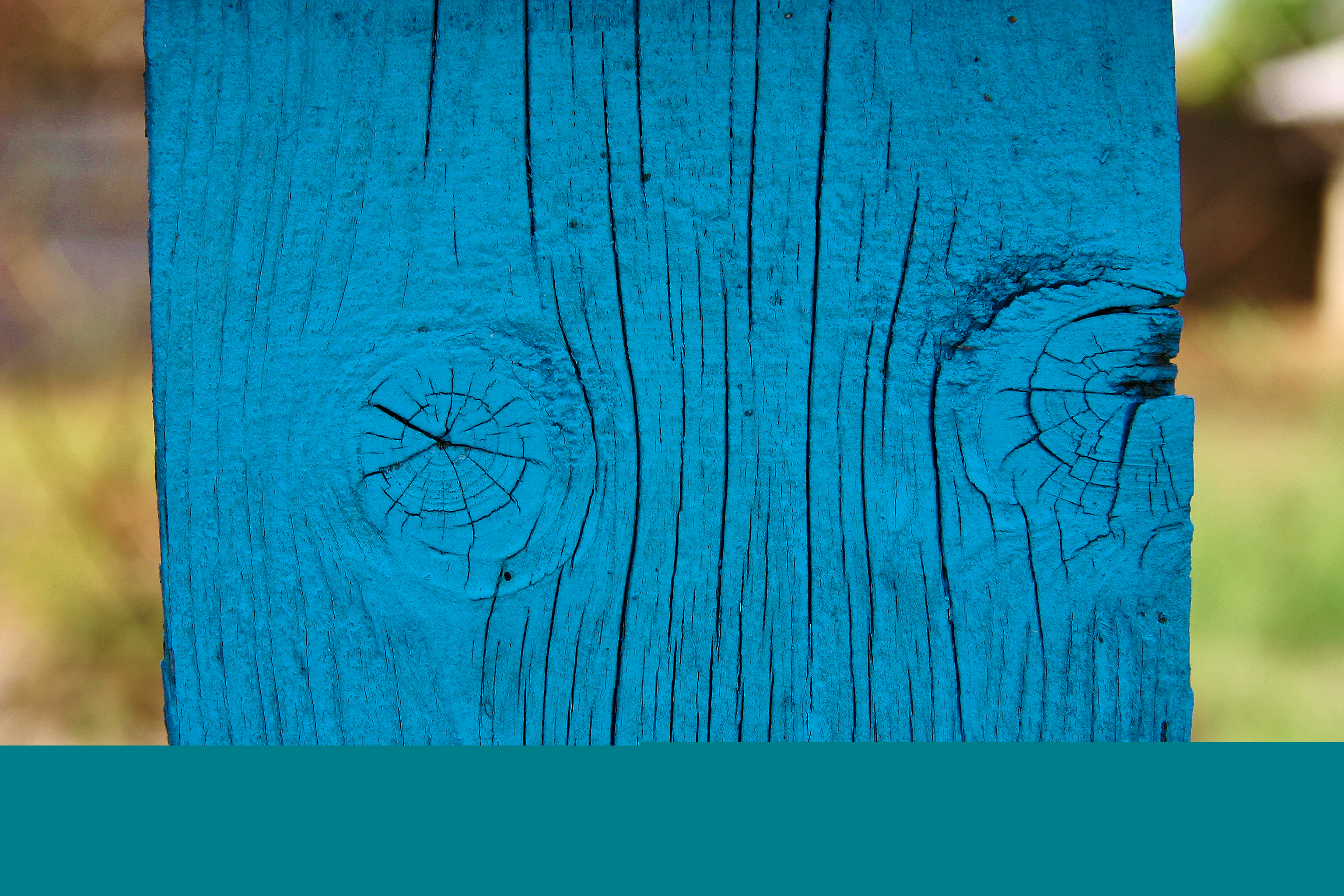 Zaunbrett Donaudelta Rumänien