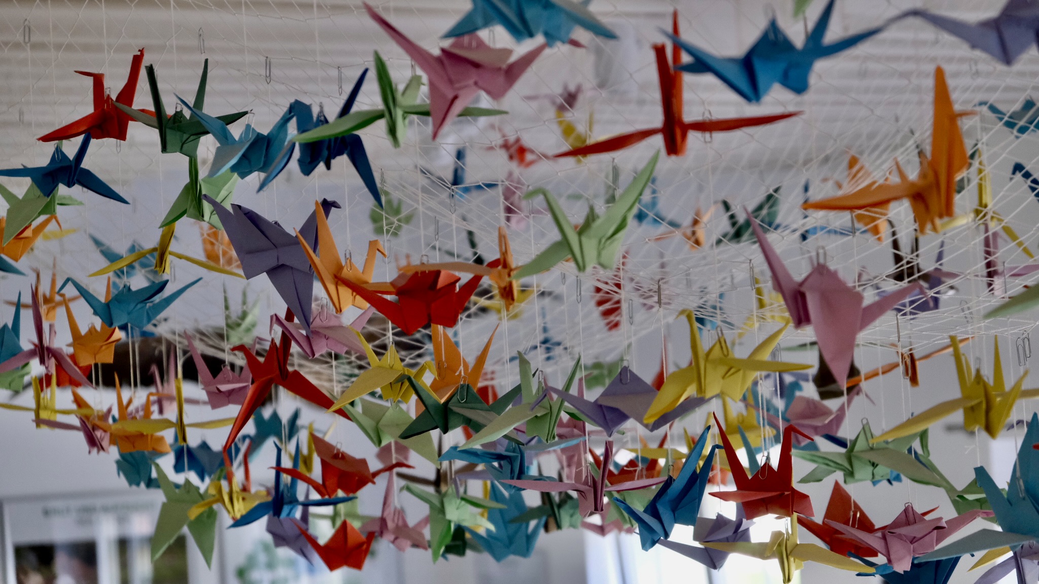 FA0C81E8-4572-4A0D-9946-4106A7DE4DB8-2547-0000016562B9F292