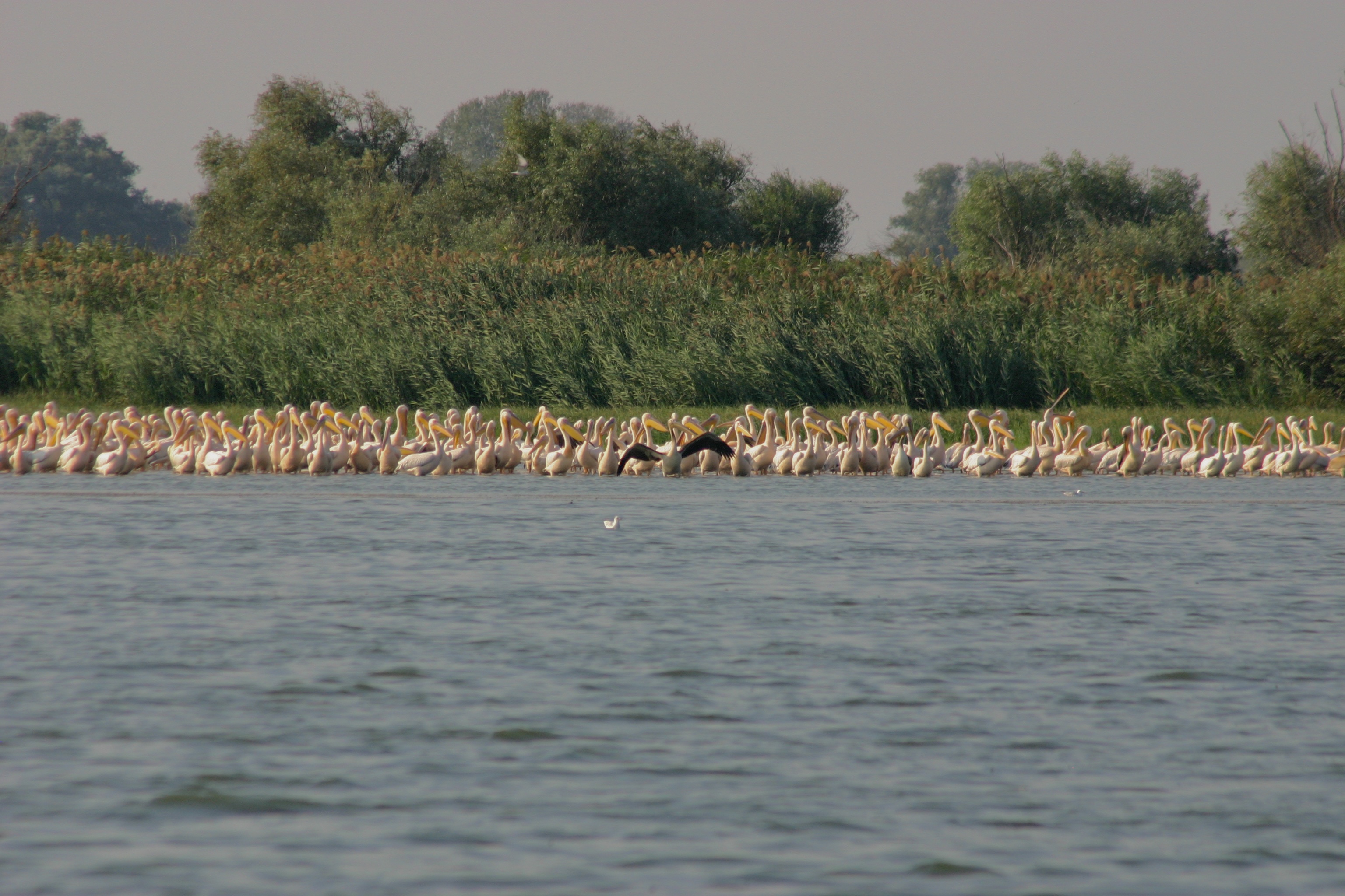 Rumänien Donaudelta