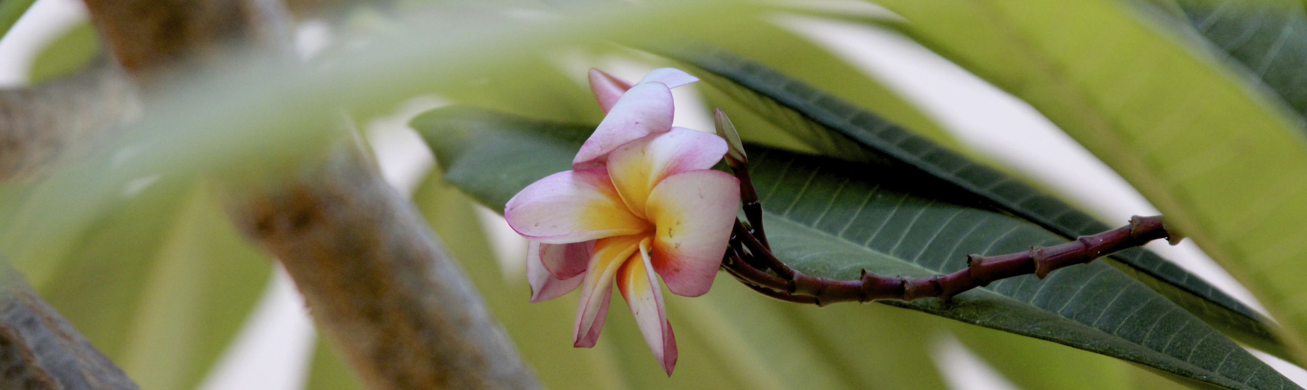 IMG_1294 - Arbeitskopie 2