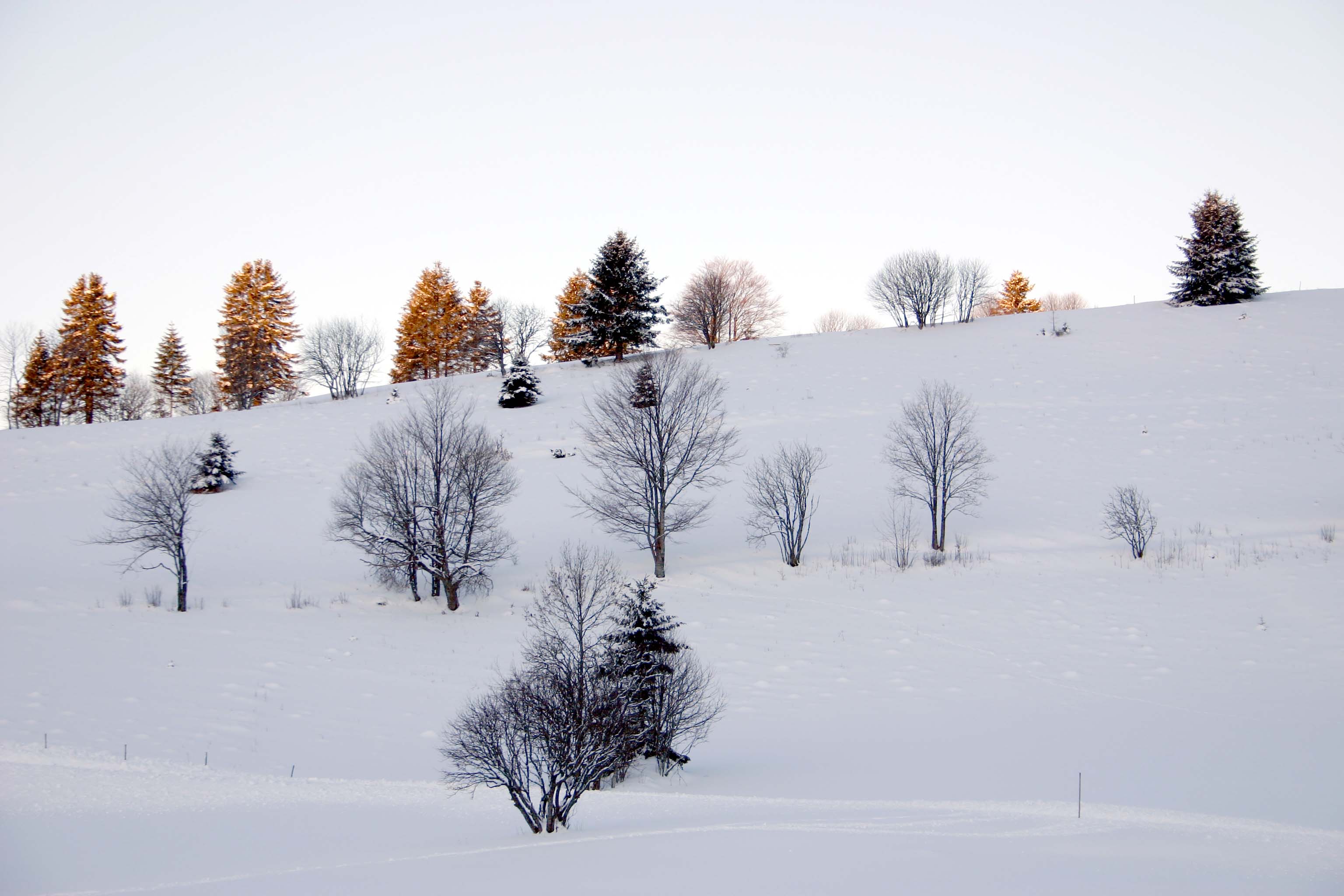 Sonnenaufgang Hochschwarzwald