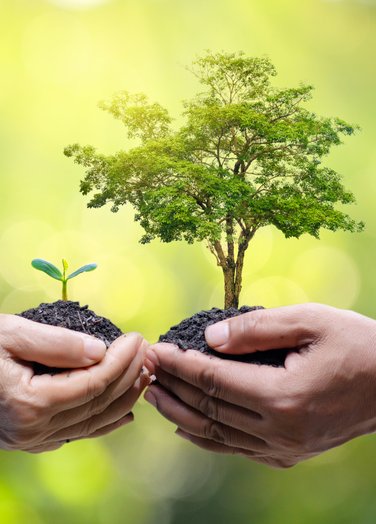 Hello world Hello world