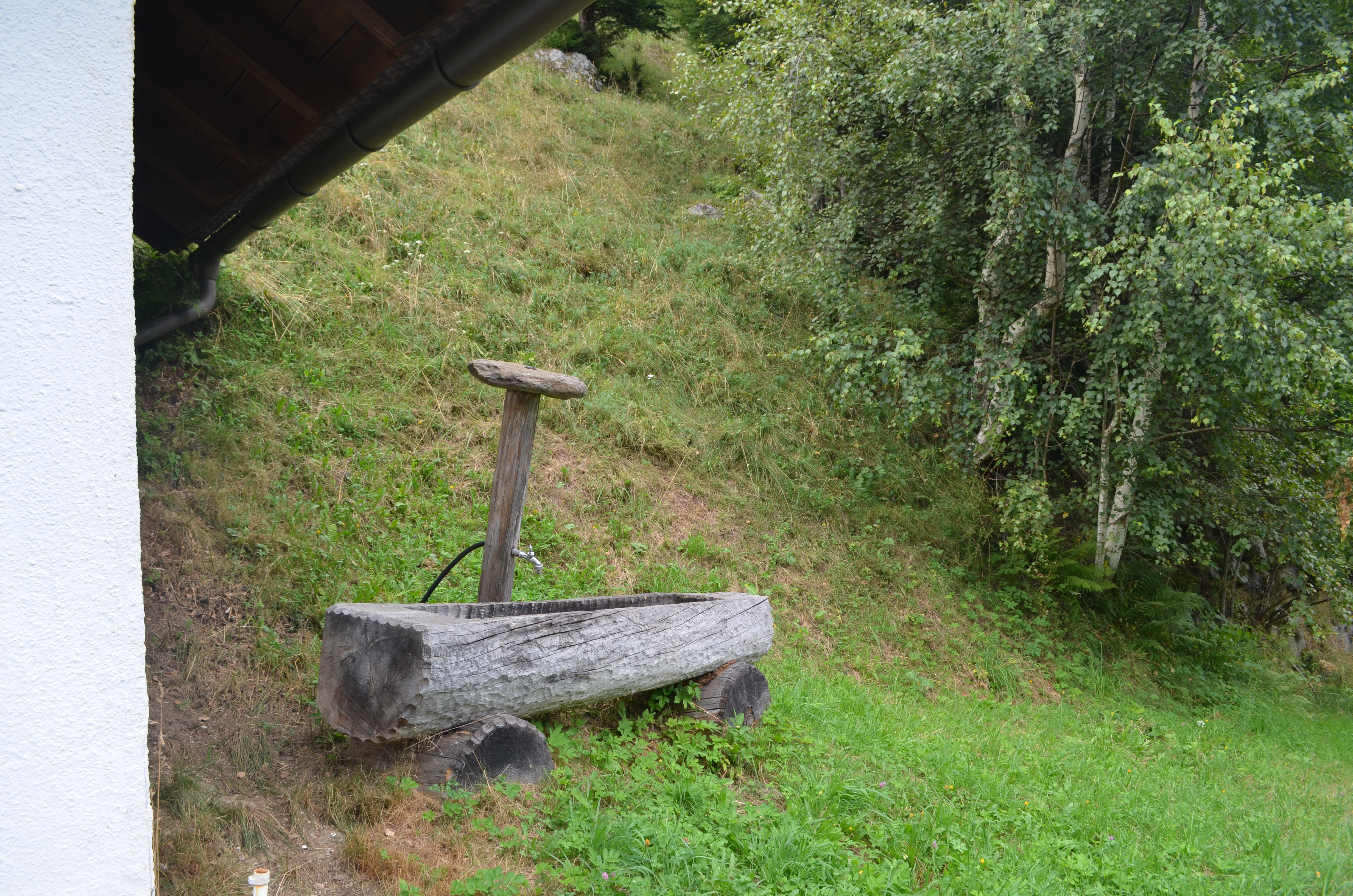 Trinkbrunnen aus eigenem Quellwasser