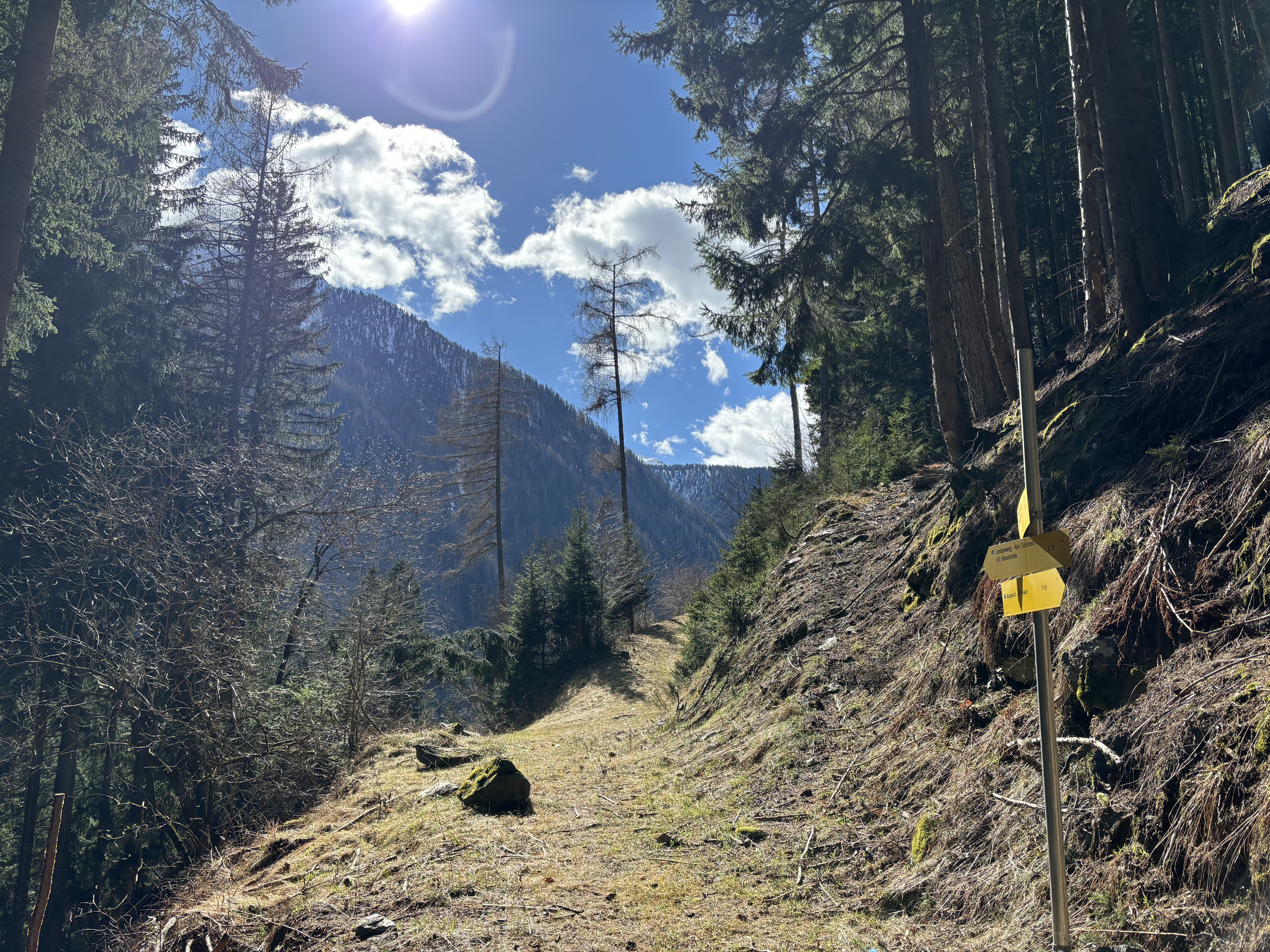 Wanderweg  direkt vor der Haustür