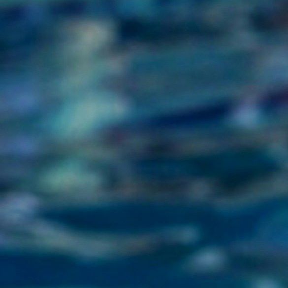 Einführung eines Aquahybridtraining
