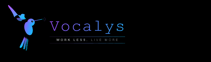 Vocalys Work Less Live More