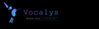 Vocalys Work Less Live More