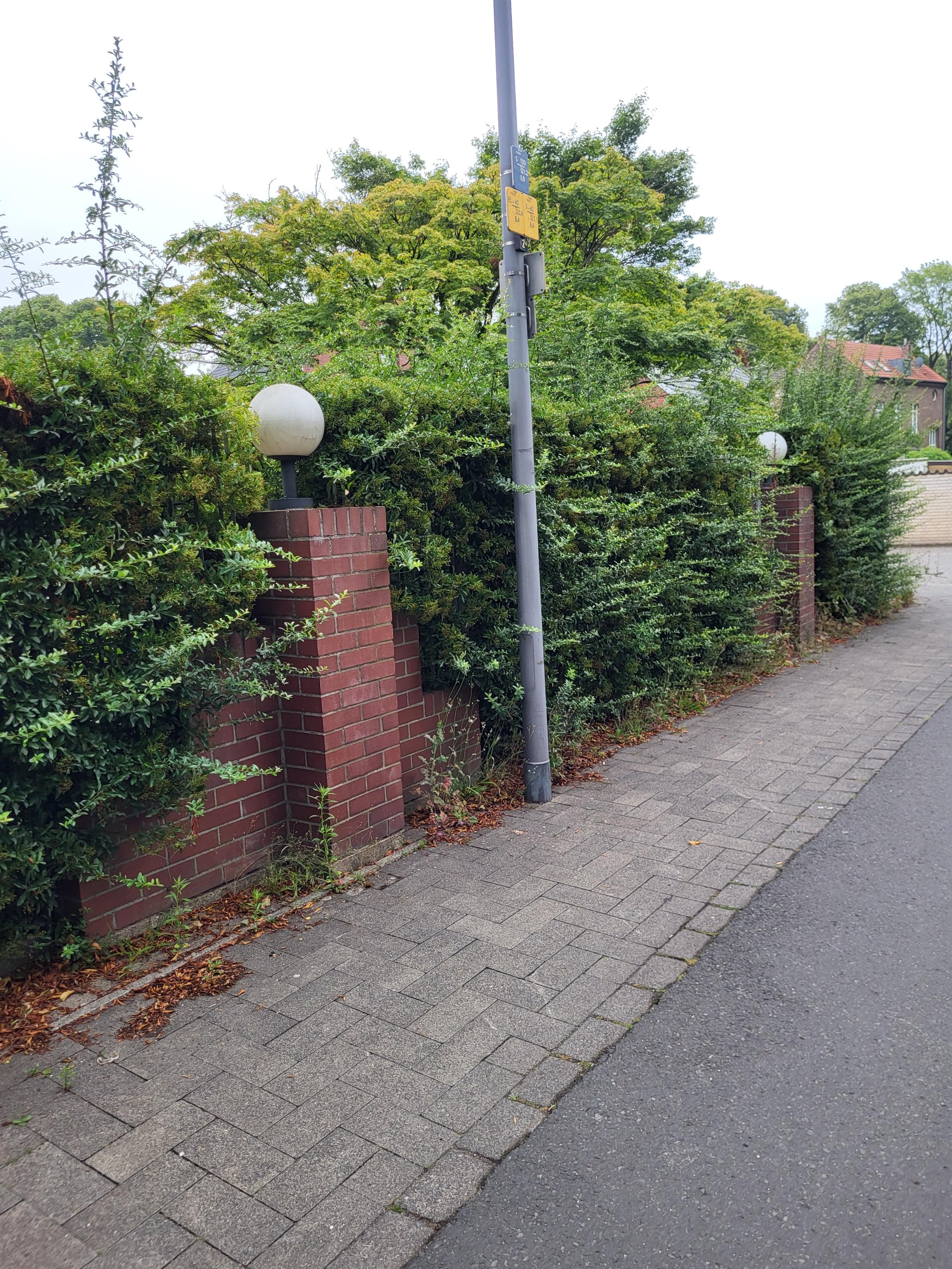 Vorher