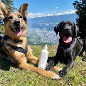 Wellwasser Trinkflaschen für unterwegs Wellwasser Trinkflaschen für unterwegs