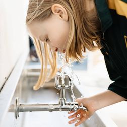 Wellwasser in Schulen und Universitäten