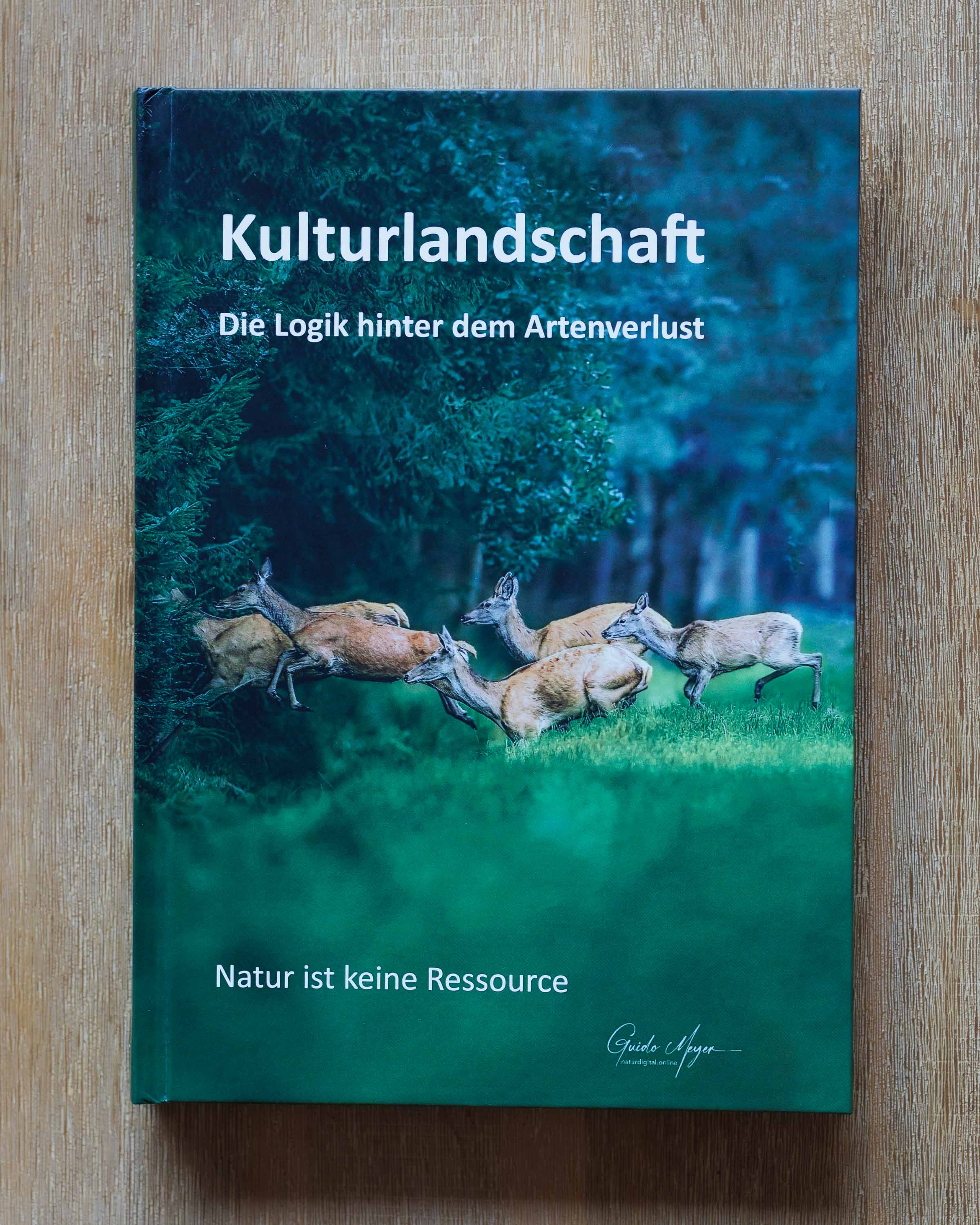 BUCHEMPFEHLUNG